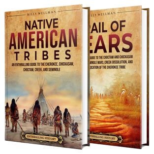 Viewing Native American History: An Enthralling Overview of the ...