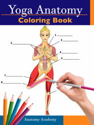 Download Get your free copy of Yoga Anatomy Coloring Book: 3-in-1 Collection Set | 150+ Incredibly ...