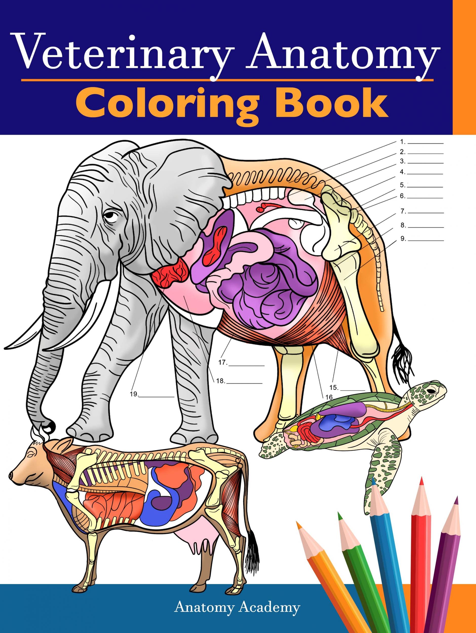Download ARC for Veterinary Anatomy Coloring Book by Anatomy Academy on Booksprout